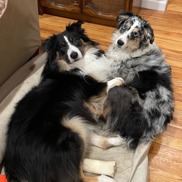 Meet Your Posher, Amanda - Picture 2 of 2